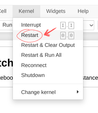 Restarting Kernel